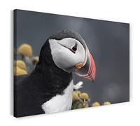 Print on Canvas (80x60 cm) puffin, close-up of birds, exotic nature flowers, cold colors, animal photos, nature photography, Canvas on wooden frame