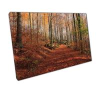 Print on Canvas Autumn Day Walk Through Woodland Forest Wall Art Print Picture For Home Office Decor 45x30cm (18x12In)