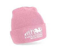 Print4U Evolution of Welsh Rugby Beanie Hat Wales Gift for Men & Ladies Pink