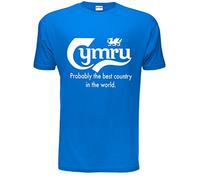Print4U Mens T-Shirt with Print Wales Best Country Cymru Size S-XXL