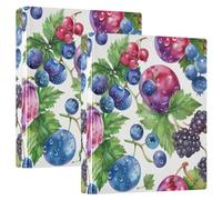 Printed 1.5 Inch 3 Ring Binder, D Ring Binder with Pockets Decorative Binders for School College or Office, Cute Blueberry Grapes Plums, one sizex1