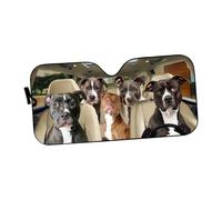 Printed Car Windshield Shade for Interior Glass Coverage, DN | Foldable Printed Construction, Removable Front Glass Coverage, Parked Vehicle Use and Storage Between Uses
