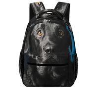 Printed Casual Daypack Cute Kids Backpack Primary School Bags for Boys Girls Animal Black Labrador Dog