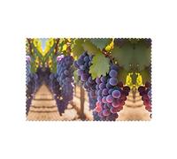 Printed Desert Grapes Placemats for Dining Table Set of 6,Heat Resistant Place Mats, Non-Slip Stain Resistant