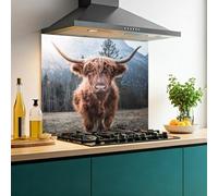 Printed Glass Kitchen Splashback | 6mm Toughened Heat Resistant Glass | Design 2325