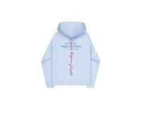 Printed hooded sweatshirt on the back Alpha Industries Signature Bleu 3XL
