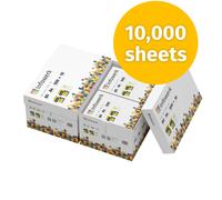 printer paper copy paper 10,000 sheets A4 size 80 gsm PEFC white Infowerk