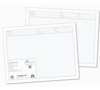 Printlink -11x 8 1/2 Engineering Graph Paper Pads, 2-Pack, Large Blueprint & Drafting Sheets with Title Block, 1/4" Blue Grid, 50 Sheets per Pad for Technical Drawing, Planning & Design (11 x 8 1/2)