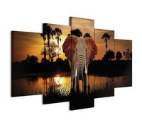 Prints on Canvas - Canvas Wall Art 100x50 cm / 40"x20" 5 pcs Large Canvas Prints XXL - Art Deco Pictures for Bedroom Walls - Home Decor Wall Pictures landscape Africa elephant g-C-0024-b-m