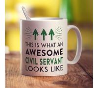 Printster This is What an Awesome Civil Servant Looks Like Mug - 11oz Ceramic Cup