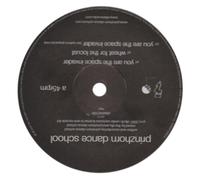 Prinzhorn Dance School - You Are the Space Invader [12" VINYL]