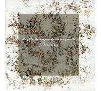 PRIORITY - Light Is Decomposed Into Fragments