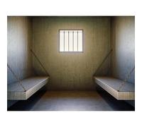 Prison Cell Backdrop Prison Forbidden Room Photography Background Sun Shines Through Window Prison Jail Backdrop Prison Cell with Bed Mystery Crime Scene Party Decorations Adults Photo Props 7x5ft