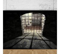 Prison Cell Photography Backdrop Old Dark Prison Medieval Cell Background For Mystery Murder Police Crime Scene Party Poster 250x180CM