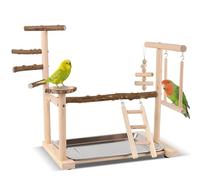 PRITOK Wooden Parrot Stand Playground with Perches: Bird Playground, Natural Wooden Playgym Exercise Toys, Training Stand Pole and Removable Tray for Cockatiels, Budgies, Lovebirds (36 x 23 x 39cm)