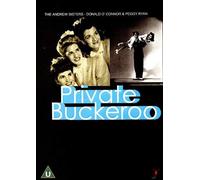 Private Buckaroo [DVD] [Region 1] [NTSC]