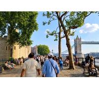 Private City Tour