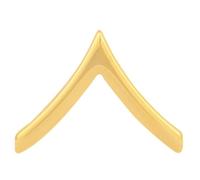 Private - Collar Brass Rank Insignia For Police, Sheriff, Security, E.M.S., Fire Department