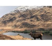 Private Guided Tours of Scotland Bespoke Adventures