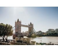 Private London in a Day tour
