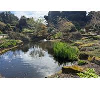 Private Tour of the Royal Botanic Garden Edinburgh