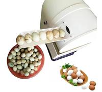 PRMTYUP Automatic Egg Washing Machine, 2400 Pcs/H Chicken Duck Goose Egg Egg Cleaner Wash Machine, for fresh duck, gray, mud, salted eggs, etc,White