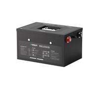 Pro 12.8V 135Ah/200Ah/500Ah Underseat Lithium Iron Phosphate Battery - 200Ah