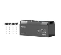 Pro-12V 200Ah Deep Cycle Lithium Iron Phosphate Battery w/Bluetooth & Self-heating Function - 1 Battery w/ Free Mounting Brackets (Save £29.99)