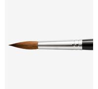 Pro Arte : Kolinsky Sable Brush : Series 1 : Round : Size 11