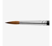 Pro Arte : Kolinsky Sable Brush : Series 1 : Round : Size 6