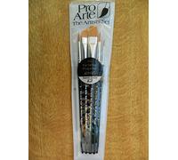 Pro Arte Paint Brushes Set Wallet Artist Watercolour Acrylic Oil Artists Brushes - Set : B3
