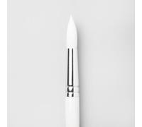 Pro Arte Series 31 Polar Round Tip Brush No 16 - Made In England