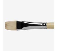 Pro Arte : Series B Hog : Bristle Brush : Short Flat : Size 12