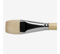 Pro Arte : Series B Hog : Bristle Brush : Short Flat : Size 16