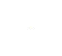 Pro Arte Series C Student Oil Painting Brush Round Size 12 - Made in England