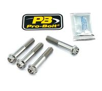 Pro Bolt Aprilia Caponord 1200 Abs 13-16/rs 660 Abs 20-24 Brake Caliper Anchor Screw Set