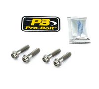 Pro Bolt Honda Cb 1300 98-02/cb 1300 Abs 05-08/cb 1300 Dc 97-00 Brake Caliper Anchor Screw Set