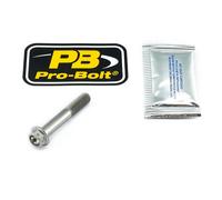 Pro Bolt Honda Cb 600 F 98-06/cb 600 F 00/cb 600 F 00 Brake Caliper Anchor Screw Set