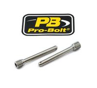 PRO BOLT PIN REAR BRAKE CALIPER HONDA, YAMAHA, KAWASAKI, KTM TIPINBP001-2Z2