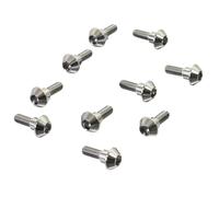 Titanium Disc Bolts Natural Yamaha Tenere 700 2019-2025