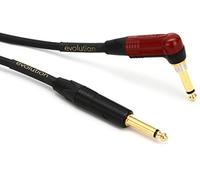 Pro Co 10' Evolution Silent Guitar Cable - Angled/Straight