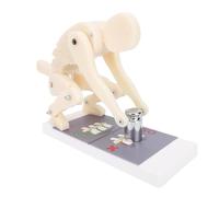 Pro Correct Lifting Model with Base, Weight Lifting Spine Force Demonstration Model, Human Body Spine Model, Lumbar Spine Protection Teaching Models, for Biomechanics Anatomy Teaching