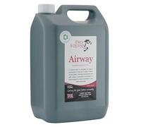 Pro-Equine Airway Horse Respiratory Supplement, Natural Herbal Garlic and Echinacea Formula, 5 Litre