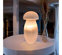 Pro Home Natural Selenite Lamp Healing Selenite Crystal Charging Mountain Tower Lamps for Meditation Spiritual Energy Decoration or Gift (Mushroom Shape Lamp)