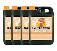Pro-Kleen 20L Mango Smoothie Ph Neutral Snow Foam With Wax Super Thick & Non-Caustic Foam