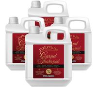 Pro-Kleen Designer Bacarrat Rouge Fragrance Carpet Shampoo 4L