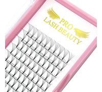 PRO LASHBEAUTY Pre Made Fan Eyelash Extensions 5D-D-0.07-15mm Short Stem Premade Fans Eyelash Extension Pre Fanned Russian Volume Lashes 0.07 0.10 Lash Extensions (5D-D-0.07-15)