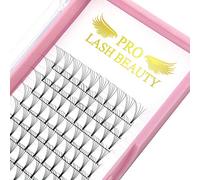 PRO LASHBEAUTY Premade Fans Eyelash Extensions 6D-D-0.07-9 Short Stem Premade Volume Eyelash Extensions .07 .10 C D Curl Pre made Lash Fans 9 to 20 mm Volume Lash Extensions(6D-D-0.07,9mm)