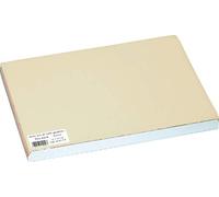 Pro Nappe Cogir - Ref 304124I Food Safe Contact Disposable Placemats (Pack of 500) - 30 x 40cm in Size, Aesthetic Embossed Satin Texture Finish - Ivory Colour