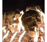 Pro Noke Dark Grey Ceramic Clay Fire Pit Skull Fire Log (1 Piece, Rectangular, Modern, 3 x 3 x 3.1 inches, Unfinished, Compatible with Natural Gas)